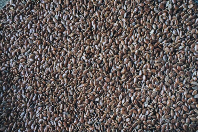blend flax seeds safely